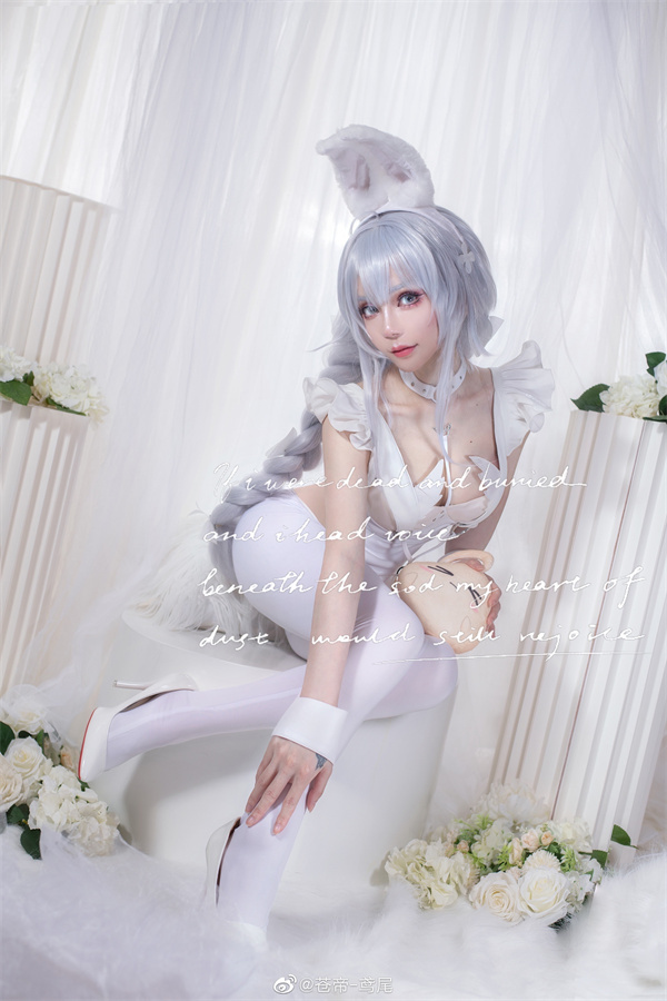 苍帝-鸢尾个人资料，苍帝-鸢尾图片介绍插图1