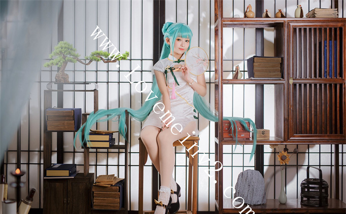 修老虎资料图片简介插图