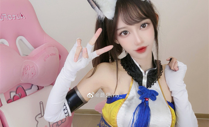 蘑菇mo资料图片简介插图