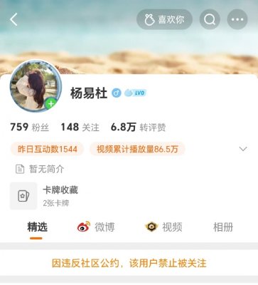 杨易杜“轻松熊”